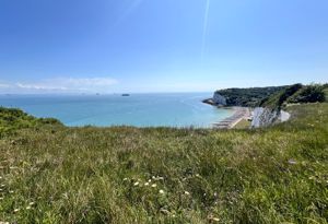 Photo 21- click for photo gallery